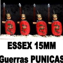 Guerras Punicas