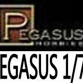 Pegasus